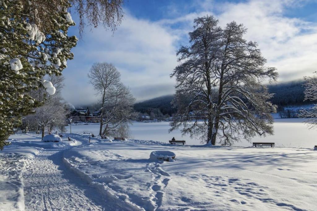 Waldtwin 2 Titisee Bagian luar foto