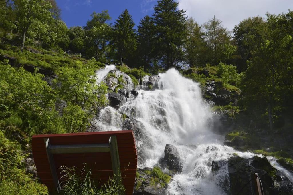 Waldtwin 2 Titisee Bagian luar foto