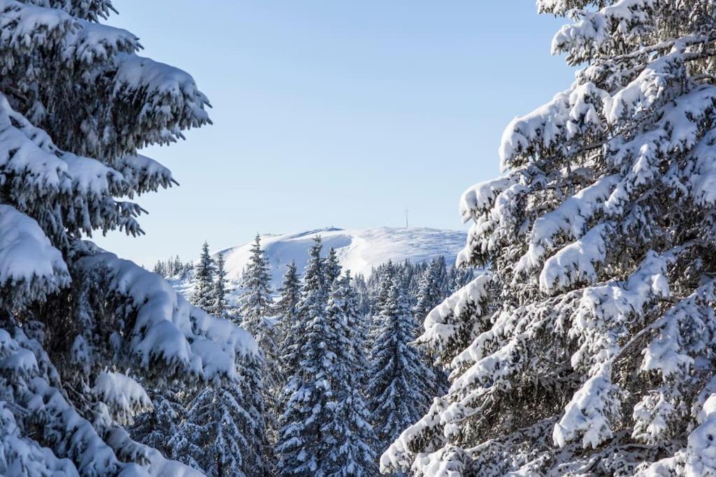 Waldtwin 2 Titisee Bagian luar foto