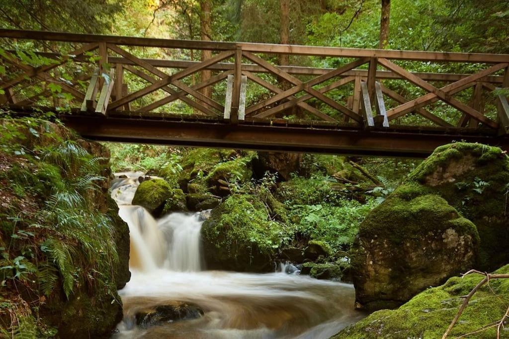 Waldtwin 2 Titisee Bagian luar foto
